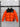 Veste TNF