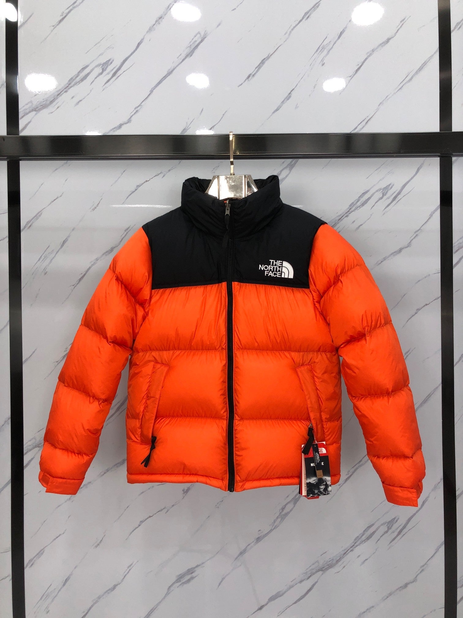 Veste TNF