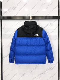 Veste TNF