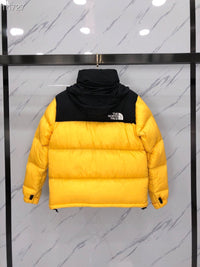 Veste TNF