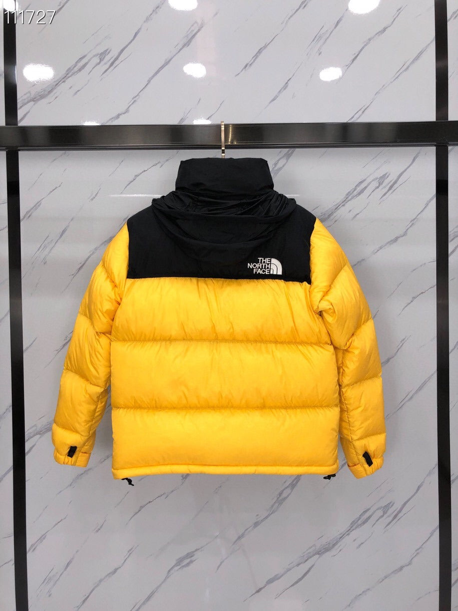 Veste TNF