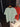T-shirt D*or x St*ne Island